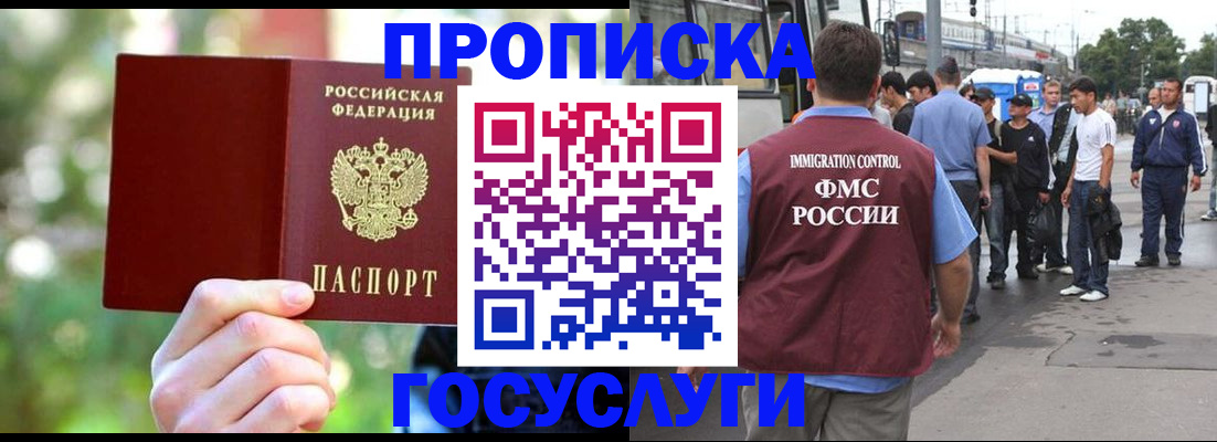 прописка поиск в Амурской области